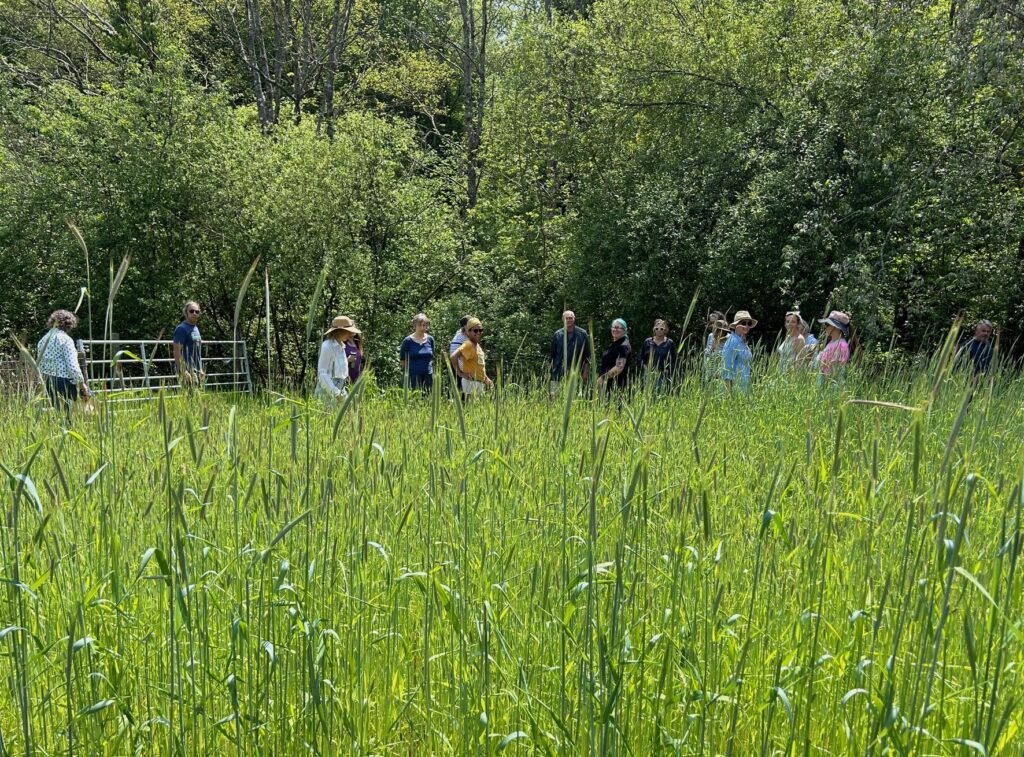 11th-12th May Biodynamic 1st